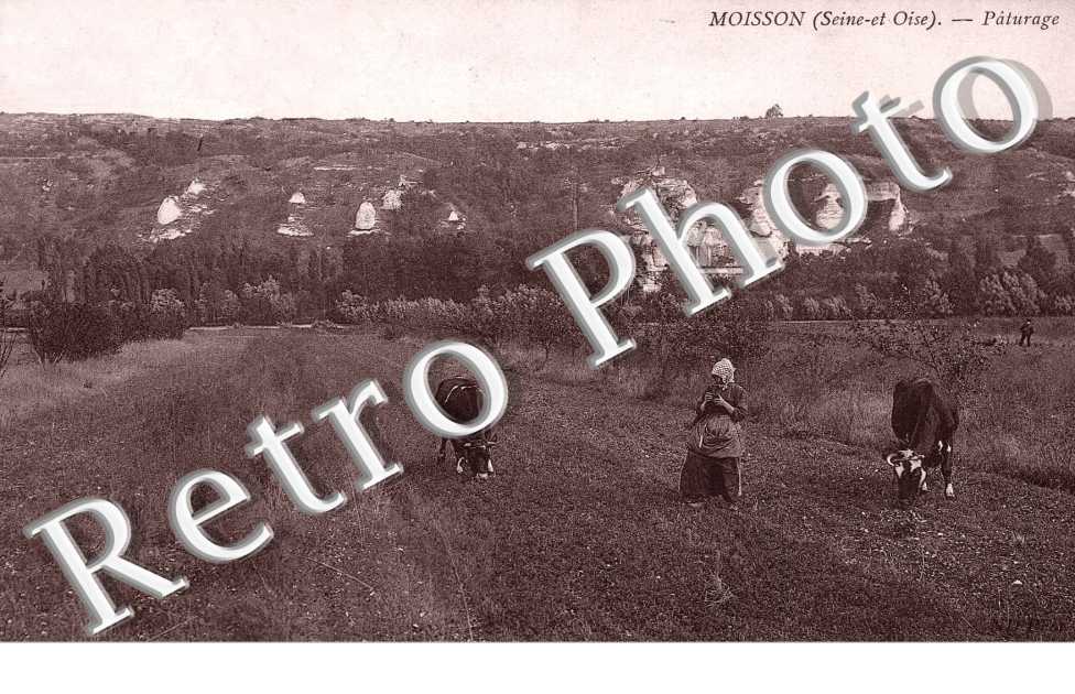 Paturage