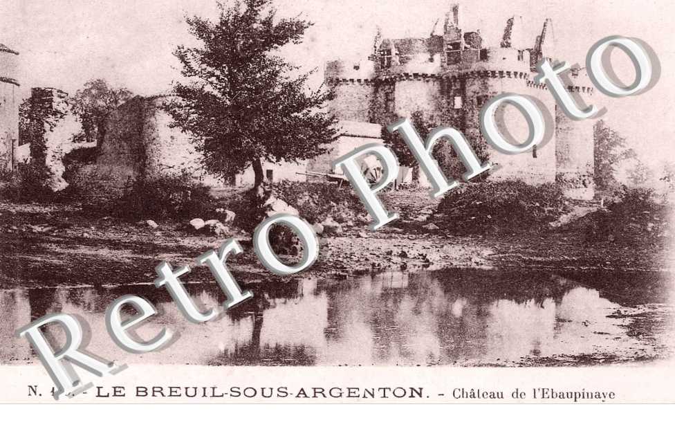 Chateau de l'Ebaupinaye