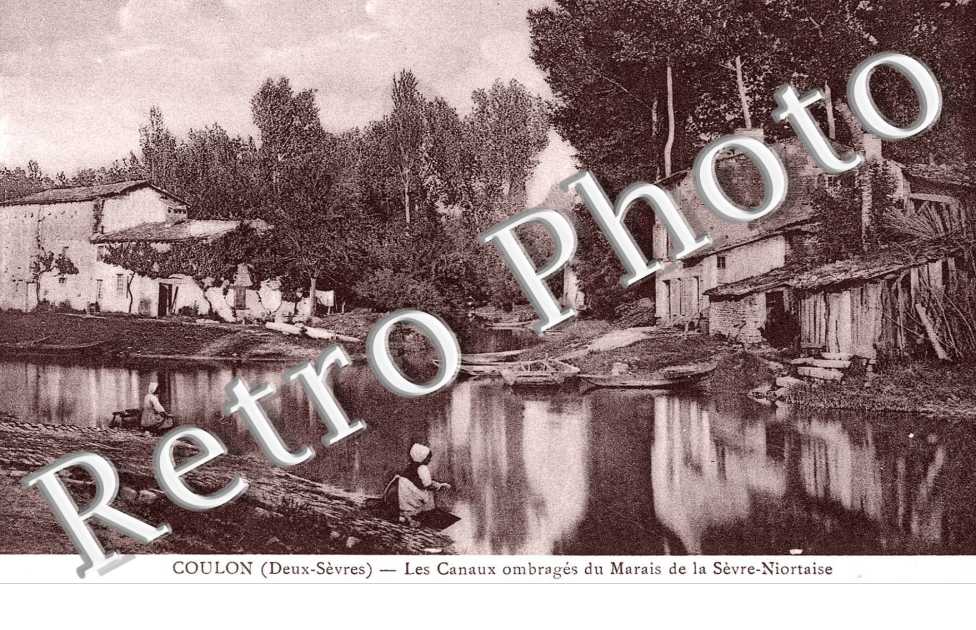 les canaux ombrages du marais de la Sevre-Niortaise