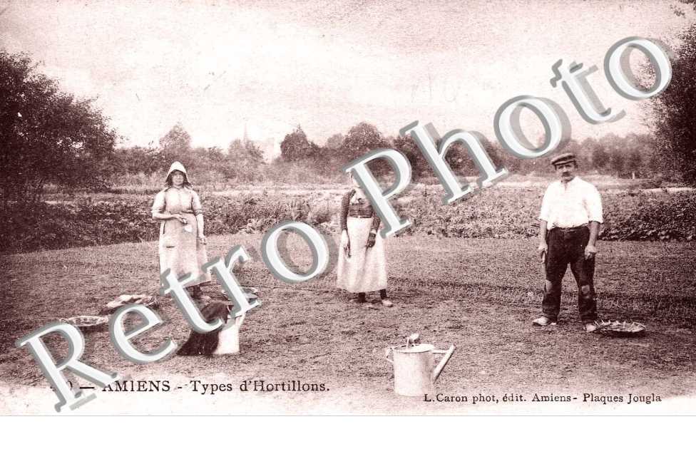 Type d'hortillons