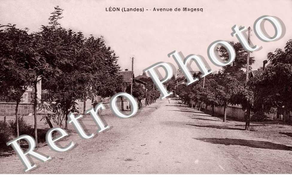 Avenue de Magesq