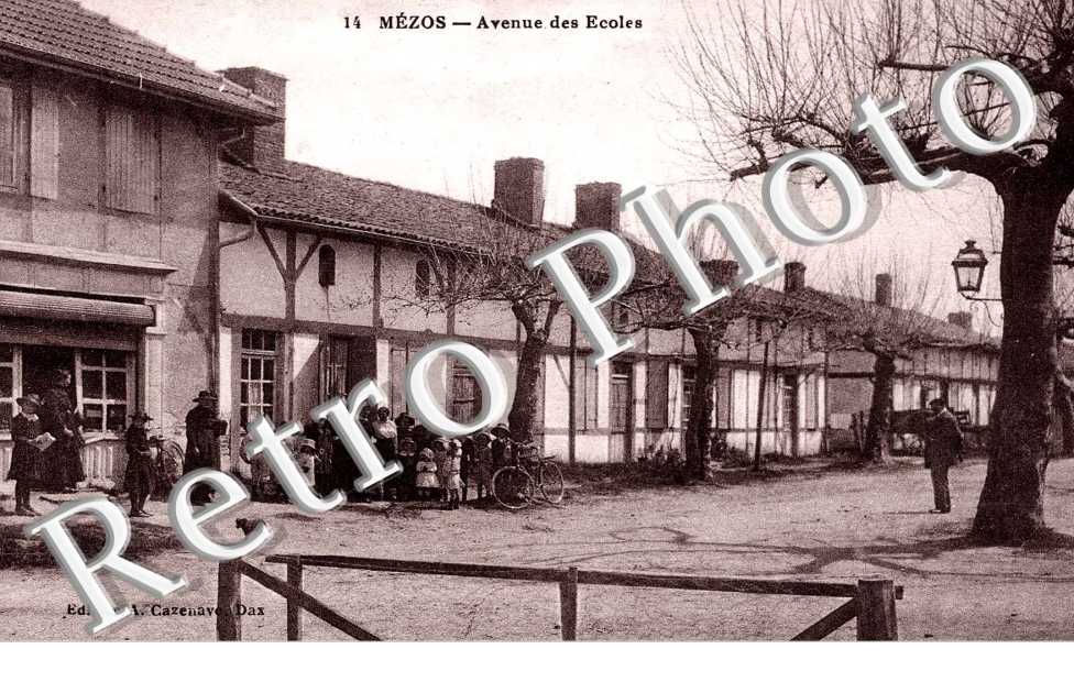 Avenue des ecoles