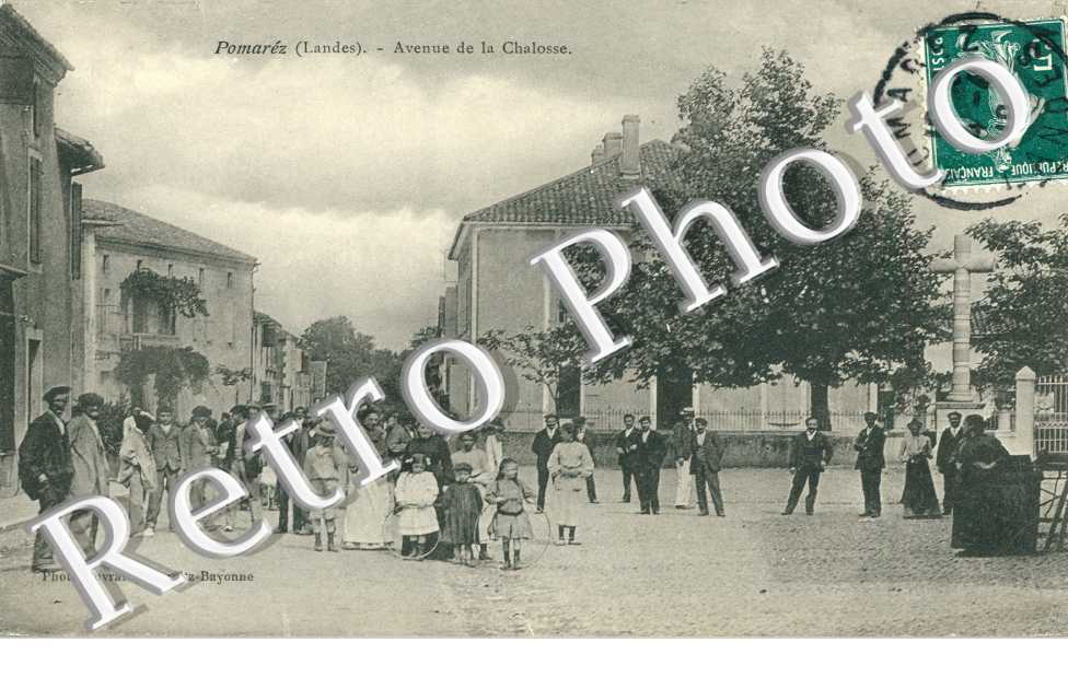 Avenue de la Chalosse