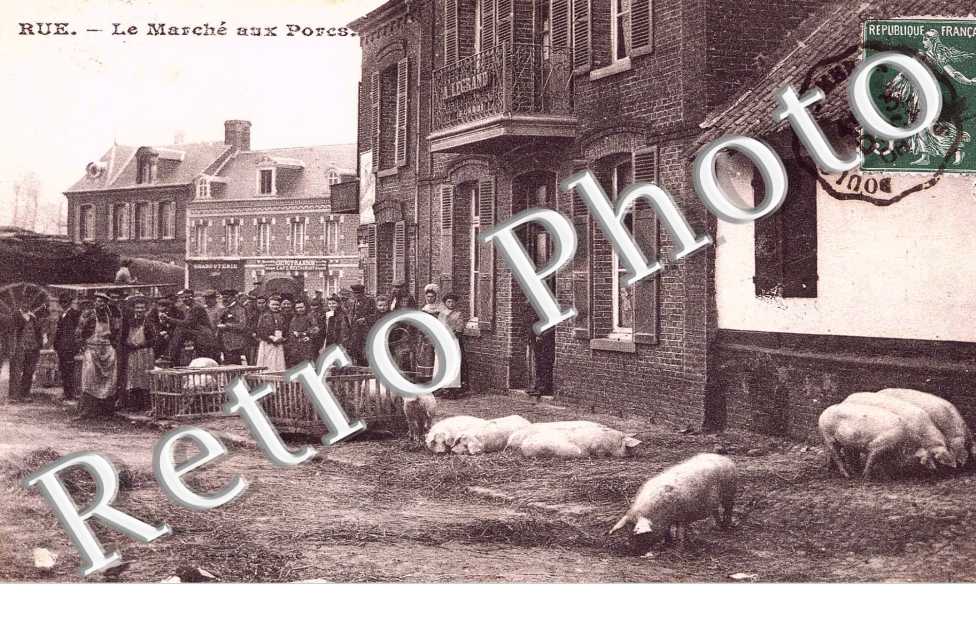 Marche aux porcs