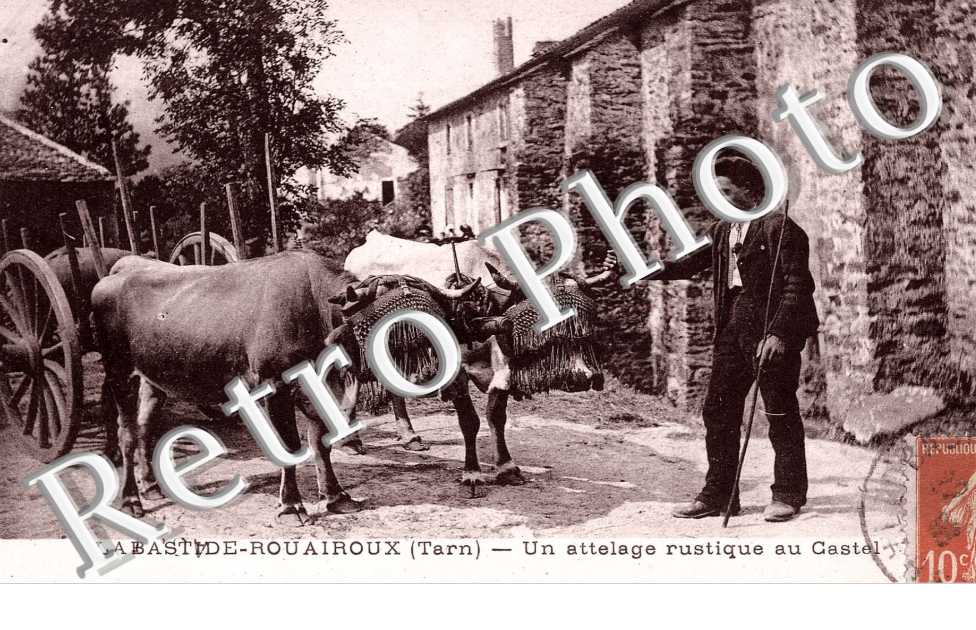 un attelage rustique au Castel