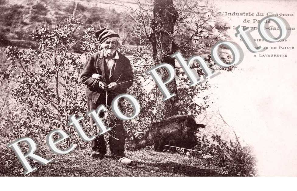 Vieux Berger Tresseur de Paille