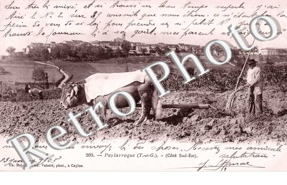 ( scene paysanne, travail des champs )