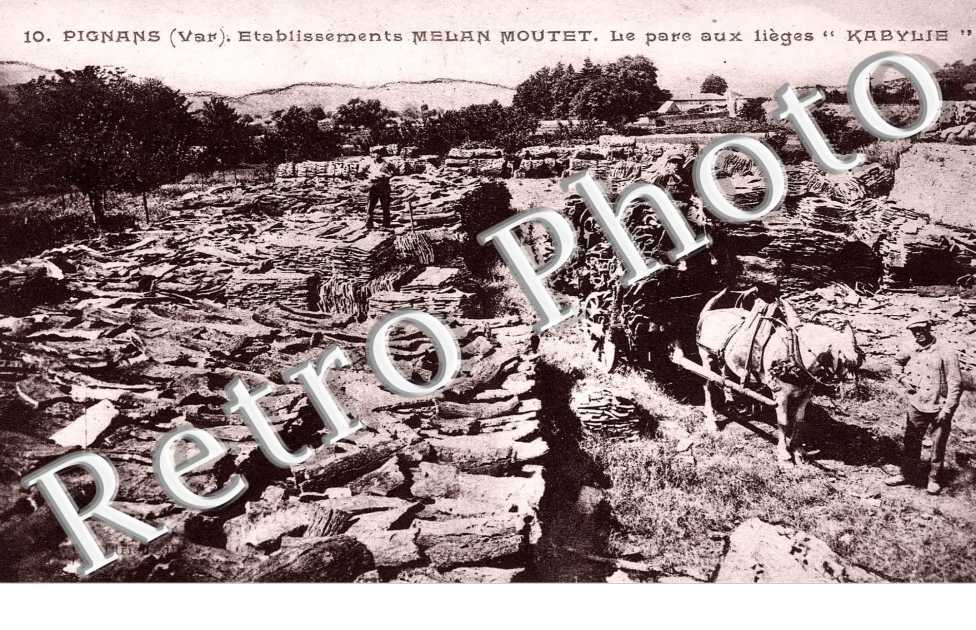 Etablissement Melan Moutet - Le parc aux lieges "Kabylie"