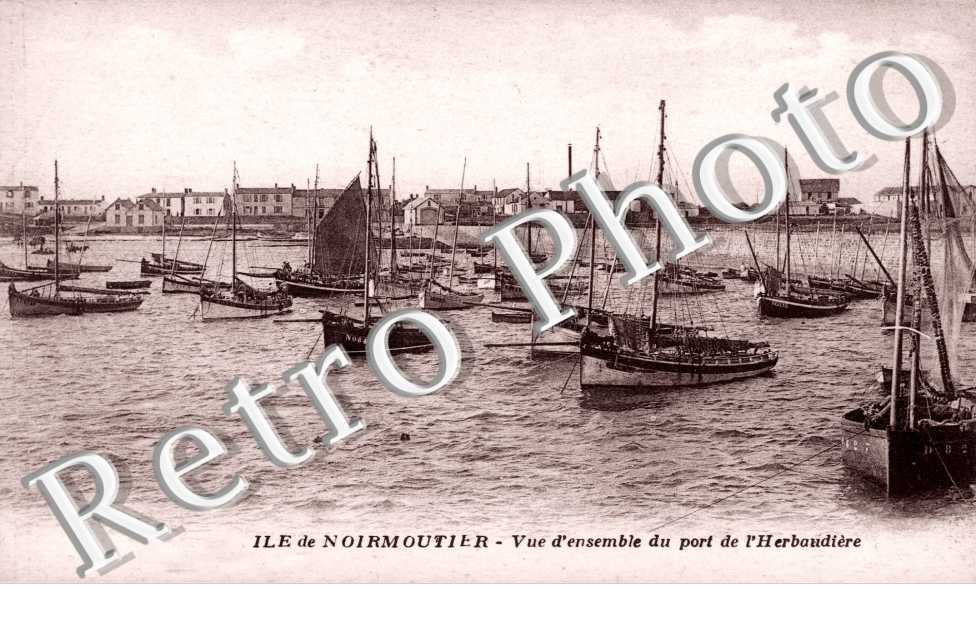 Vue d'Ensemble du Port de l'Herbaudiere