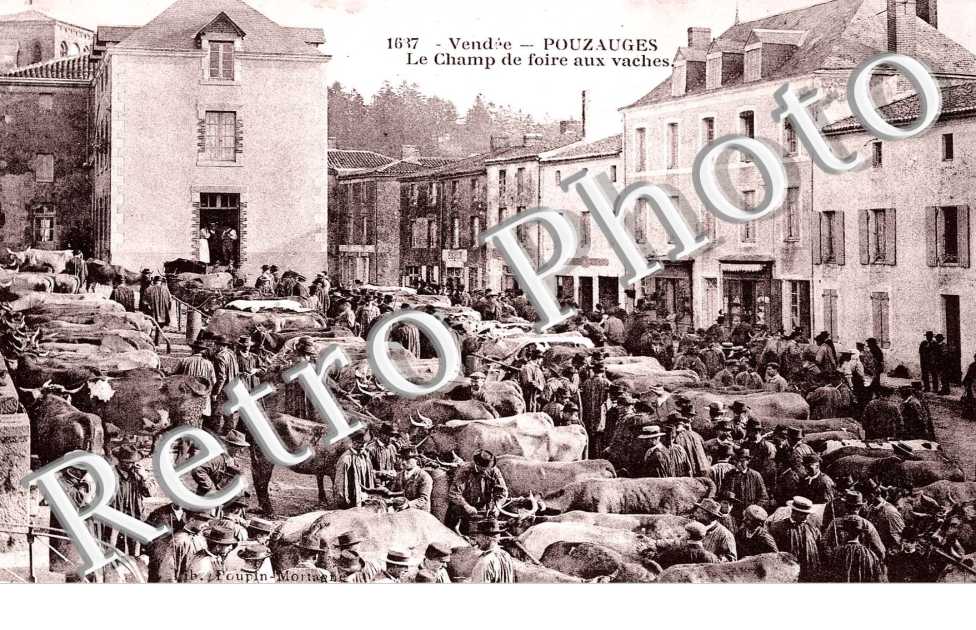LE CHAMP DE FOIRE AUX VACHES