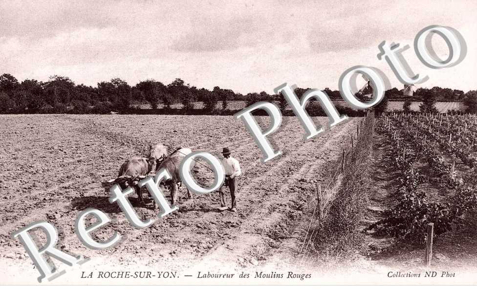 LABOUREUR DES MOULINS ROUGES  