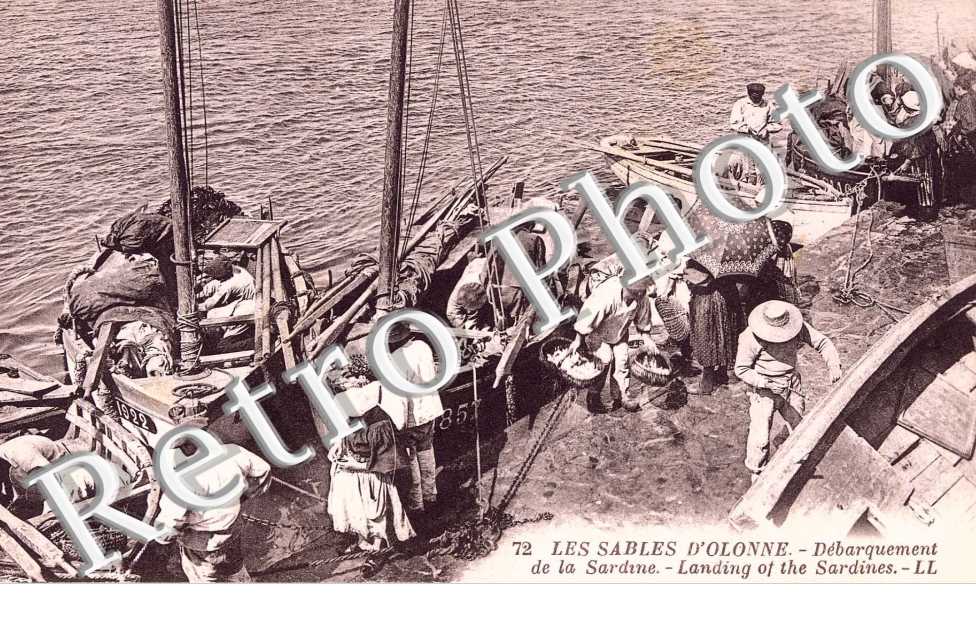 DEBARQUEMENT DE LA SARDINE 