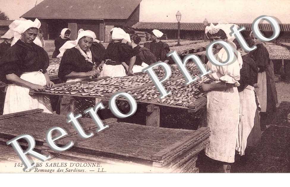 LE REMUAGE DES SARDINES 