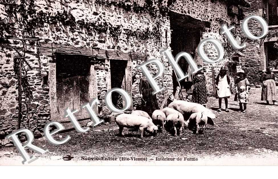 INTERIEUR DE FERME 