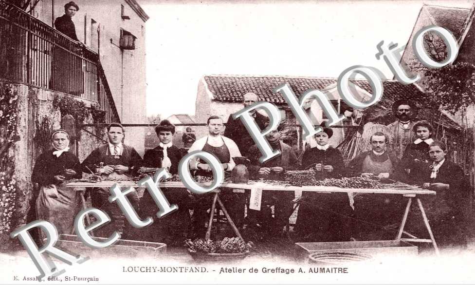 atelier de greffage A. Aumaitre