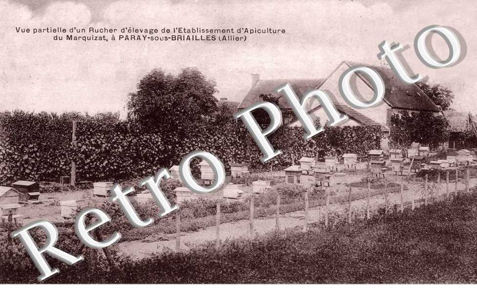 Rucher d'elevage de l'Etablissement d'Apiculture