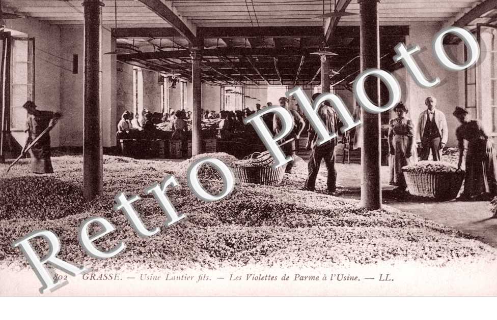 Usine Lautier fils - Les Violettes de Parme a l'Usine