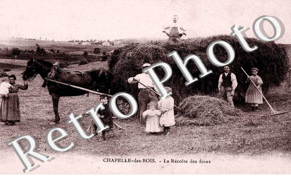 La Recolte des Foins