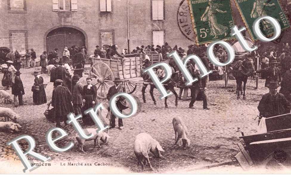 le marche aux cochons