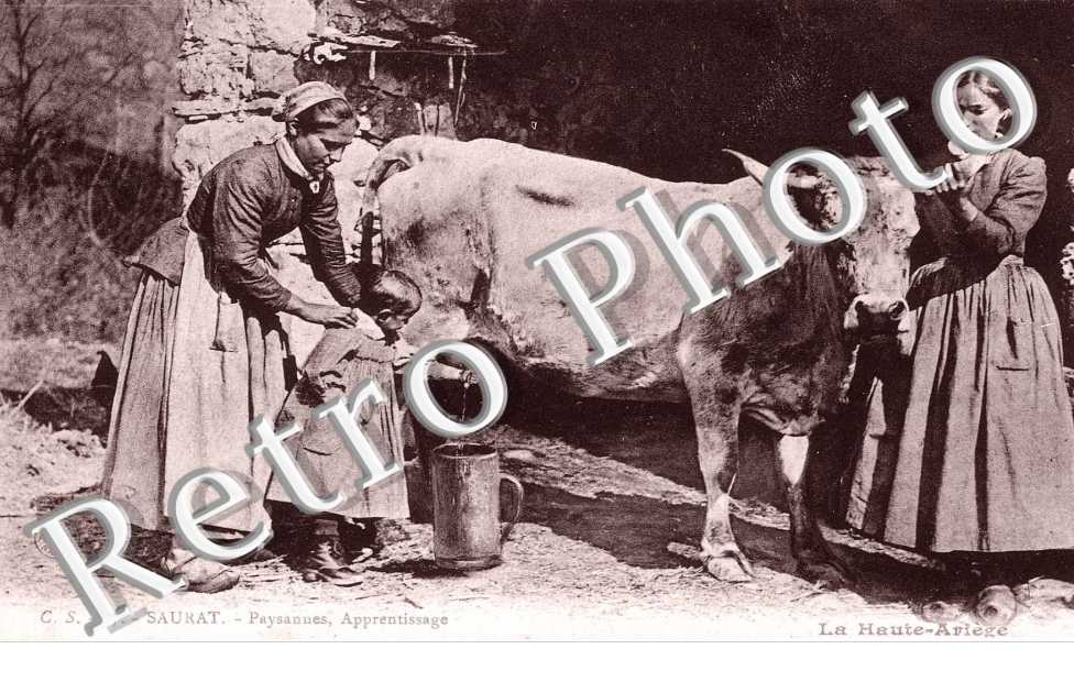 La Haute-Ariege Paysannes Apprentissage