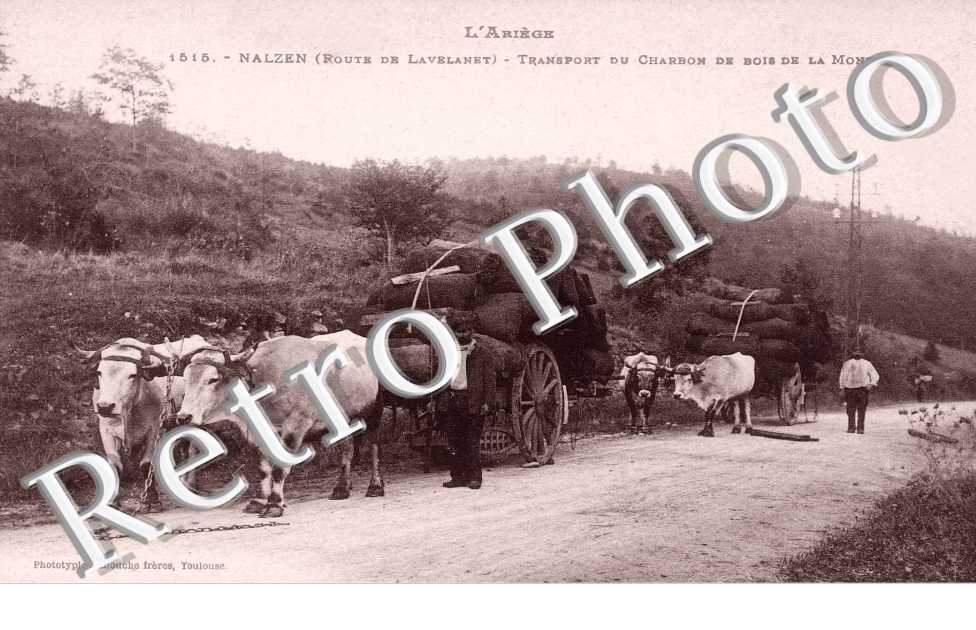 transport du charbon de bois de la montagne