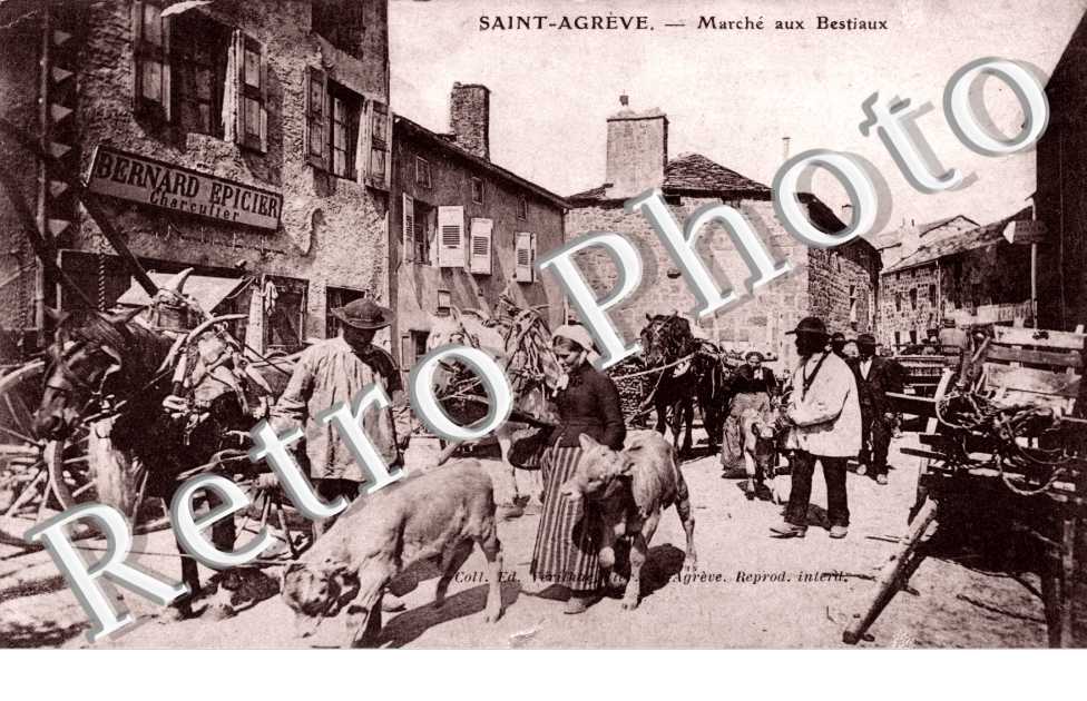 MARCHE AUX BESTIAUX 