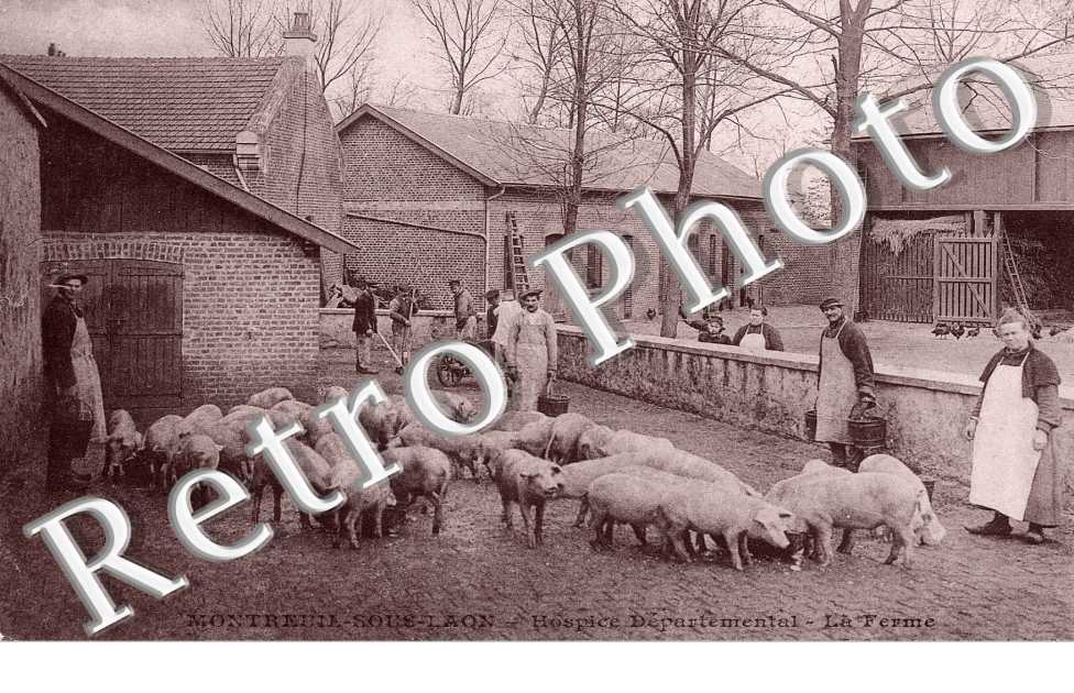 Hospice departemental. La ferme