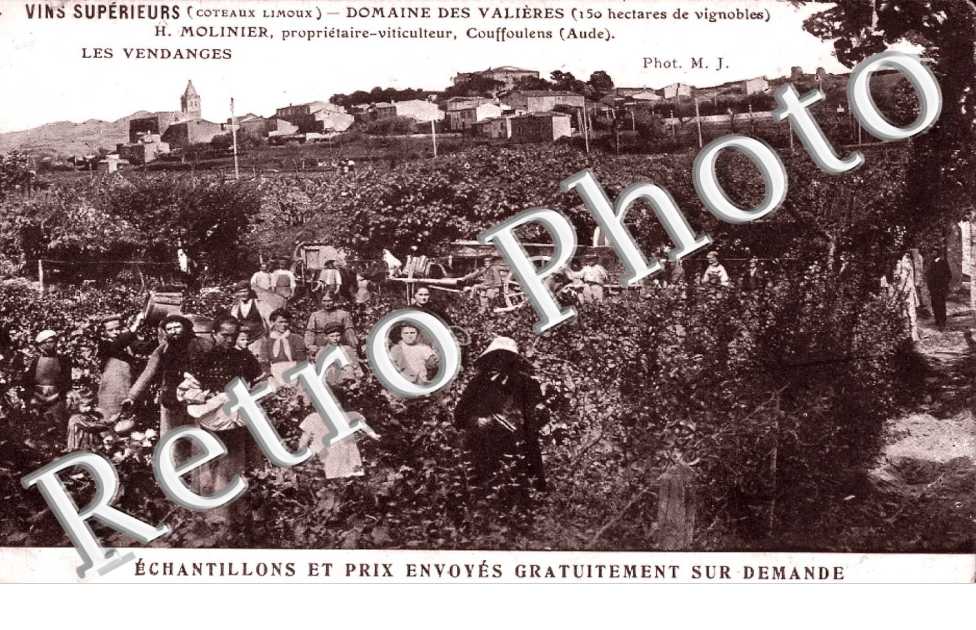 Les vendanges, domaine des valières