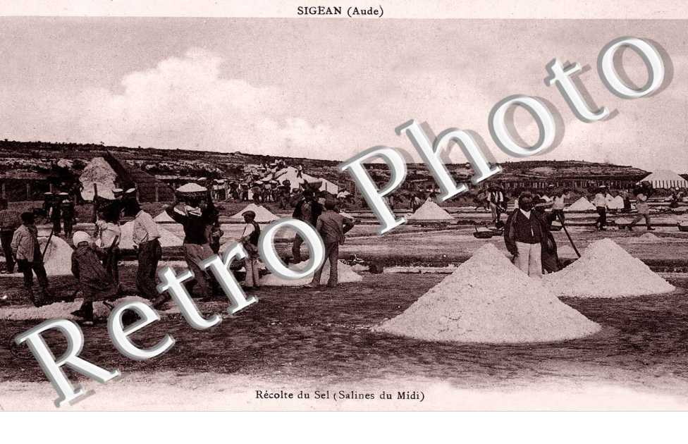 Recolte du sel (salines du midi)
