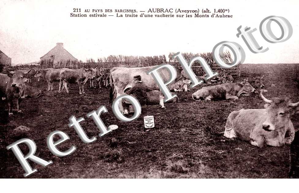   la traite d'une vacherie sur les Monts