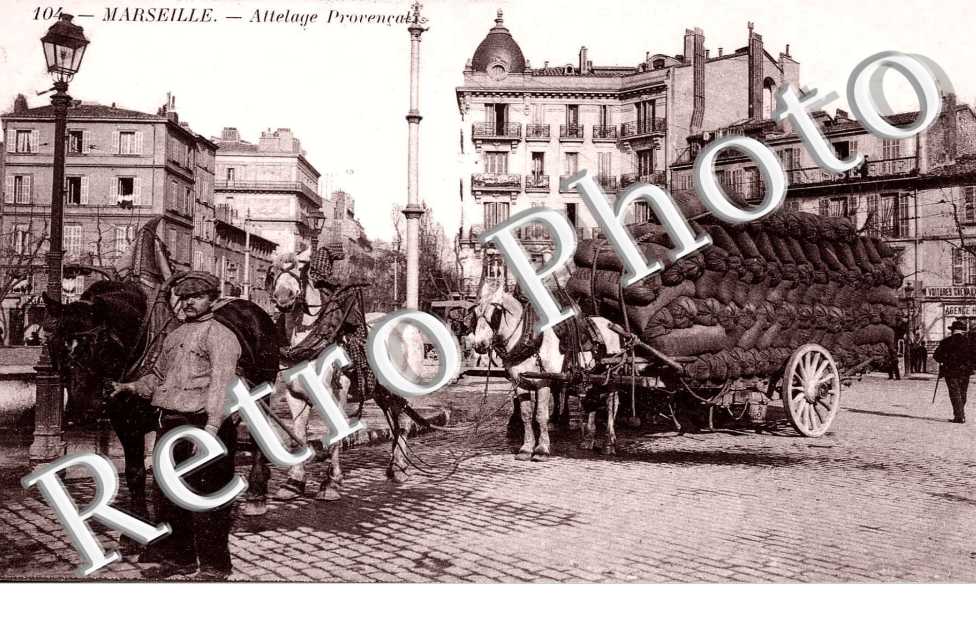 Attelage Provencal