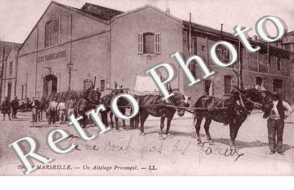 un attelage provencal