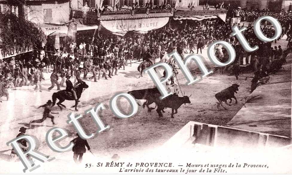 l'arrivee des taureaux le jour de la fete