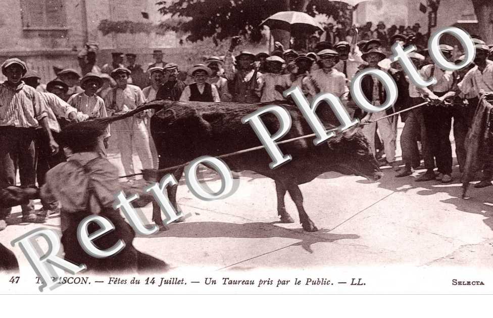 fetes du 14 juillet Un taureau pris par le public