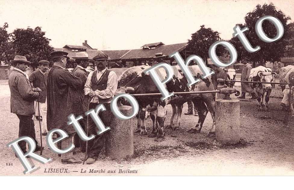 le marche aux bestiaux