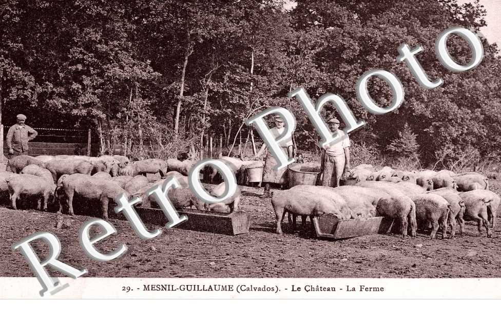le chateau, la ferme