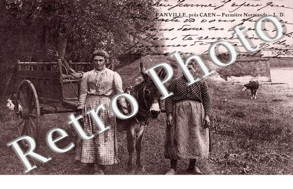 Fermiere normande