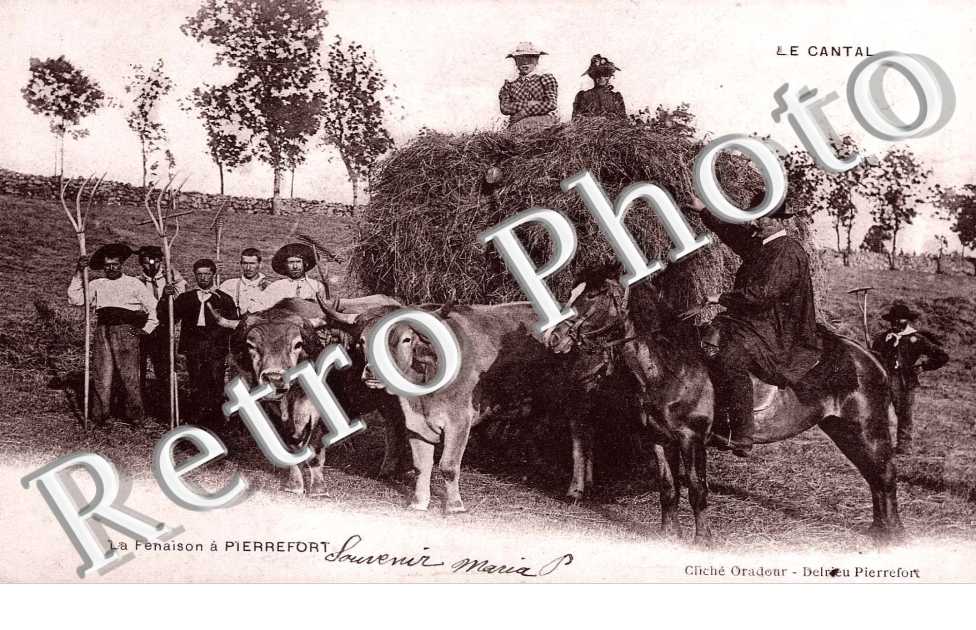 La Fenaison