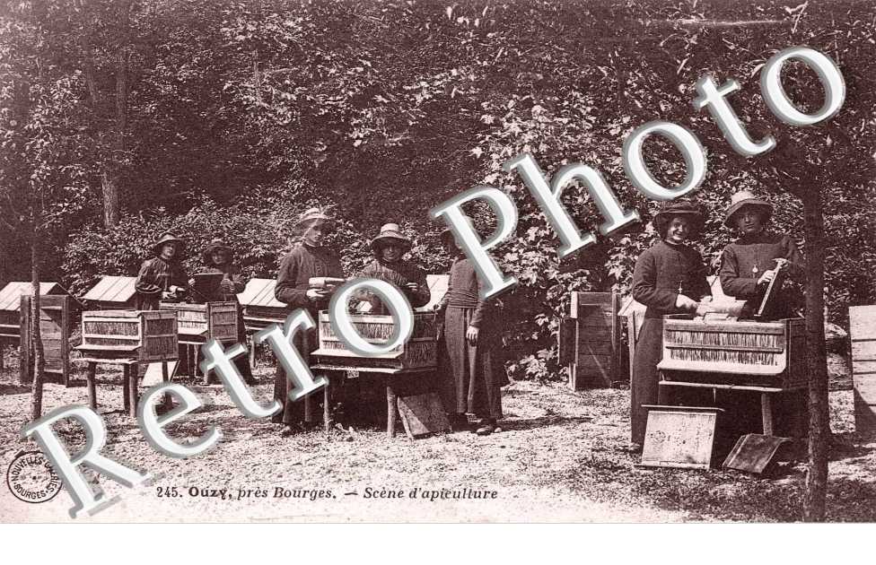 ouzy, scene d'apiculture