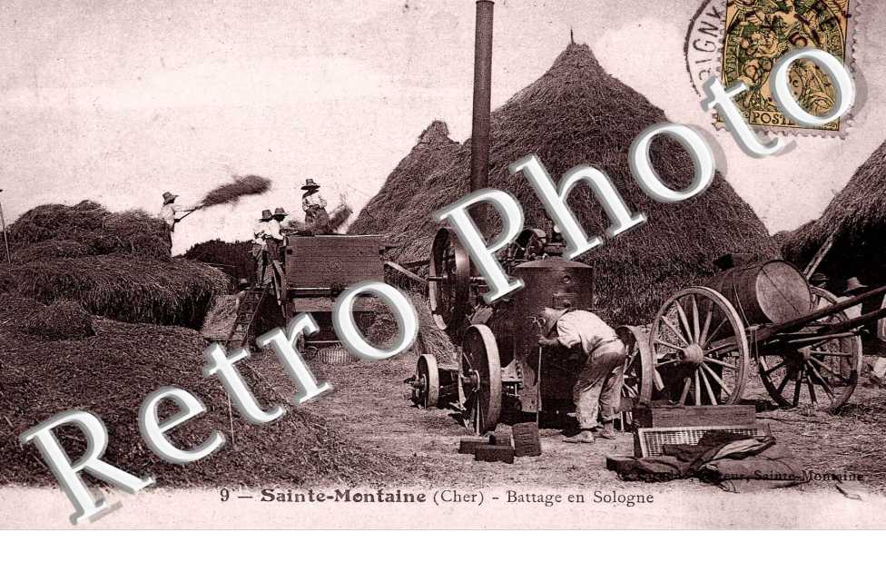  BATTAGE EN SOLOGNE
