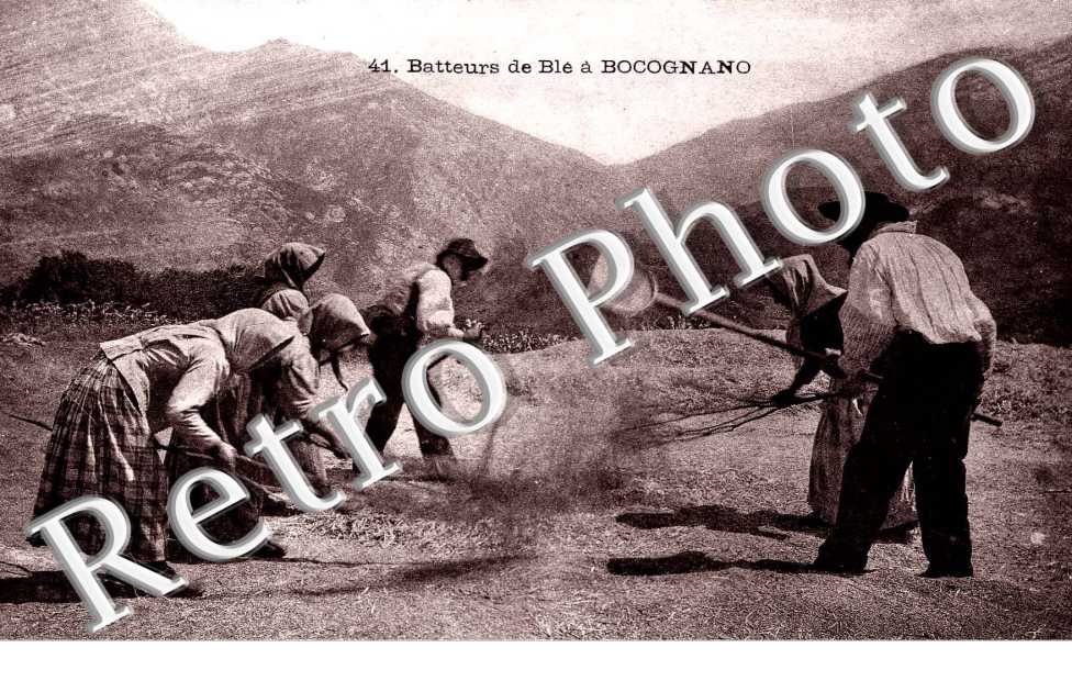 Batteurs de ble