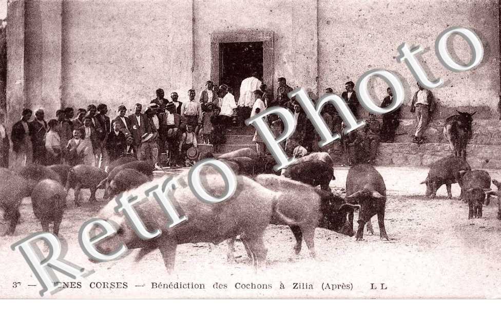 Benediction des Cochons