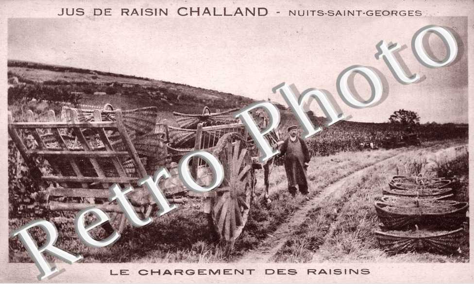 Jus de raisin Challand - le chargement des raisins