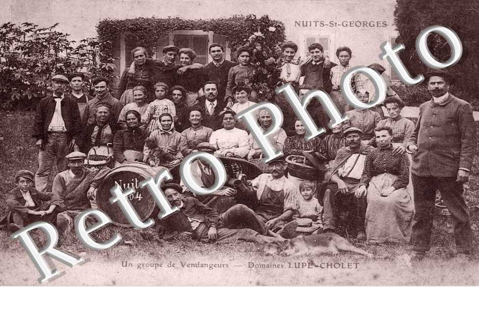 Domaine Lupe Cholet -  Un groupe de Vendangeurs