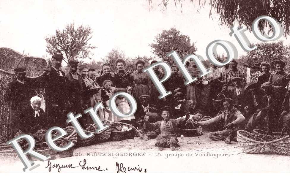 Un groupe de Vendangeurs
