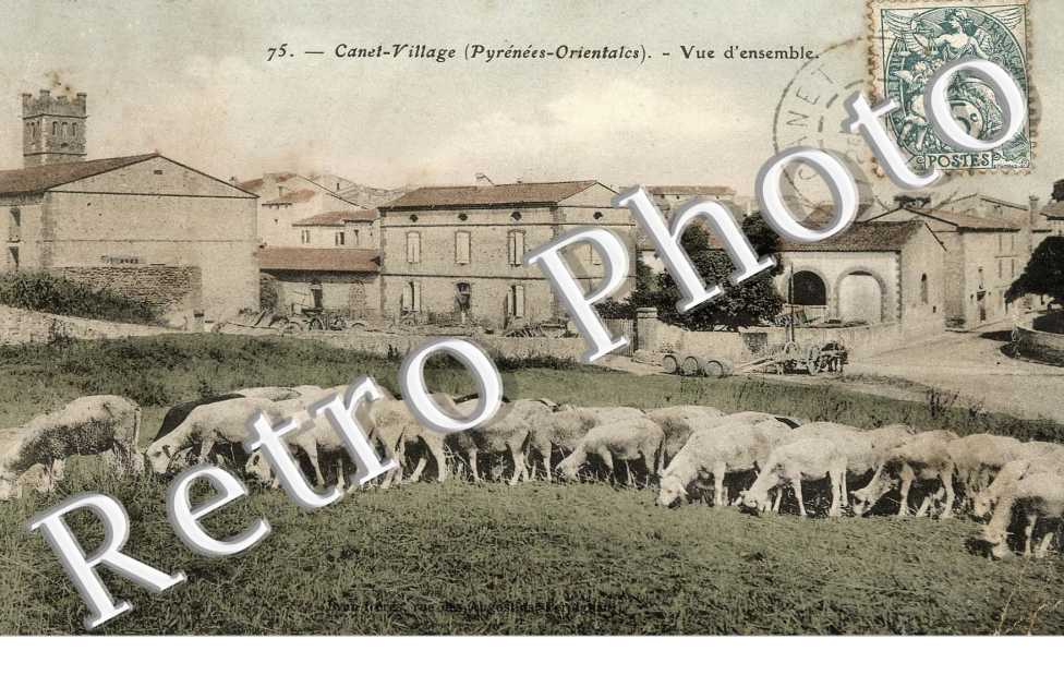 Canet-village - vue d'ensemble