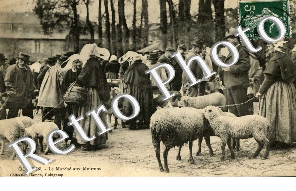 le marche aux moutons
