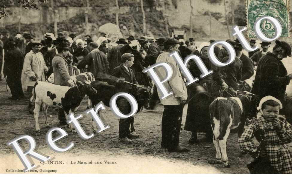 le marche aux veaux