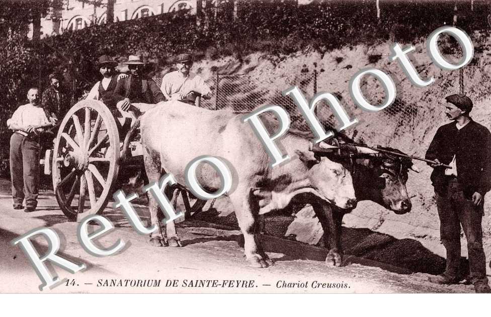 Sanatorium - chariot Creusois