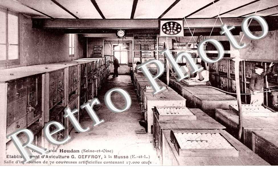 Etablissement d'Aviculture G. Geffroy
